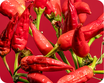 Savory & Spicy