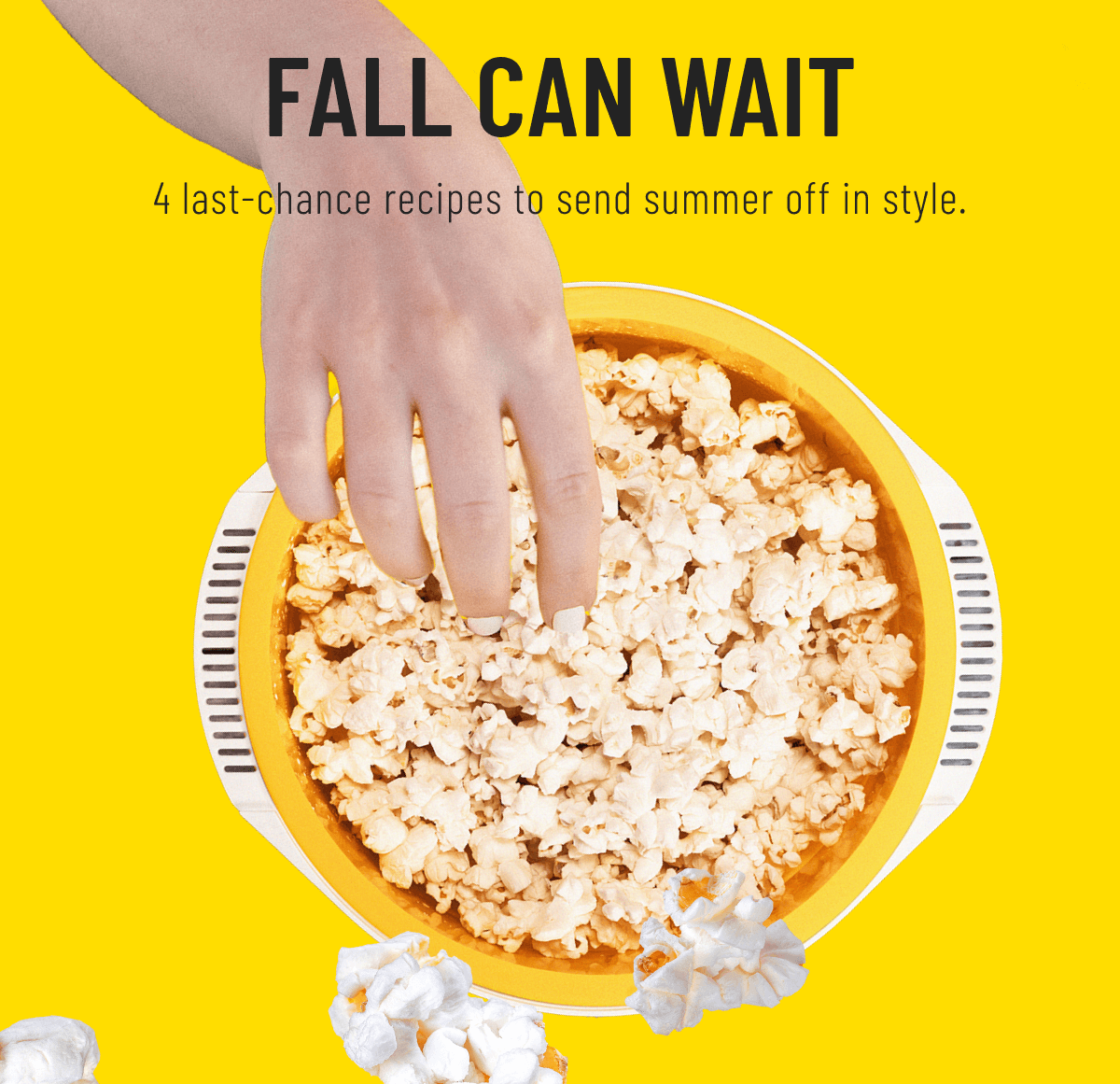 End of Summer Picnic